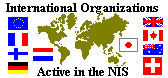 International  Orgs in the NIS